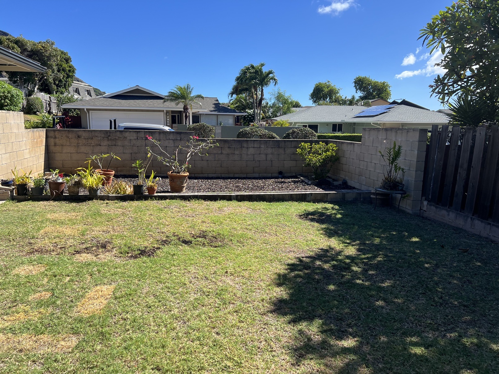A backyard with a fence, a few plants, and a house in the background.